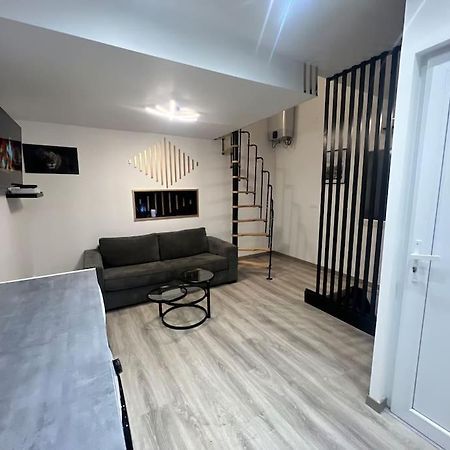 Maison Appartement Triplex Avec Jacuzzi Et Sauna Saint-Etienne  Exterior photo